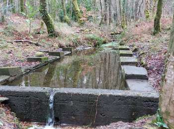 Tour Wandern Camors - PR_56_Camors_BA_02_L-Eau_Circuit1b_20230218 - Photo