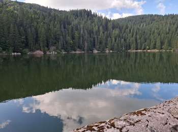 Trail Walking Le Valtin - Les quatre lacs - Photo