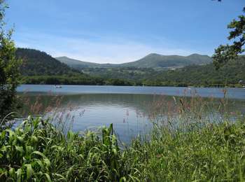 Percorso A piedi Murol - Lac Chambon - Photo