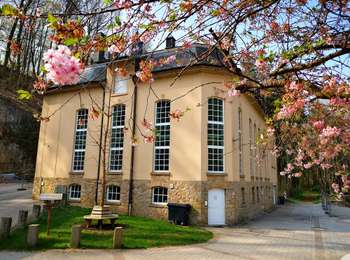 Percorso A piedi Hesperange - Fleche Bleu Itzig - Photo