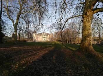 Tocht Te voet Geldenaken - Promenade de la Ramée - Photo