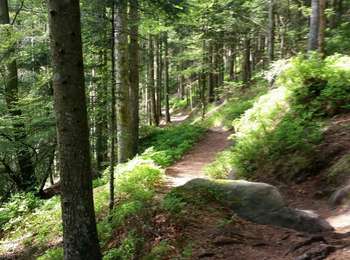 Excursión Bici de montaña Raon-l'Étape - sortie vtt du 12052018 pierre d'appel  - Photo