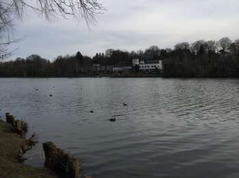 Tocht Stappen Rixensart - Au fil de l'eau, Genval-Rixensart - Photo