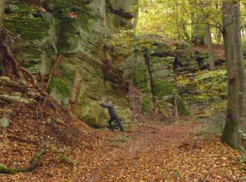 Tour Zu Fuß Berdorf - Wikiloc Berdorf Mullerthal Trail - Photo