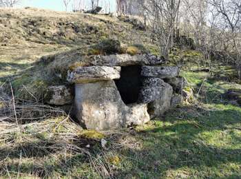 Trail Walking Saint-Laurent-en-Grandvaux - Saint laurent en grandvaux 2 - Photo