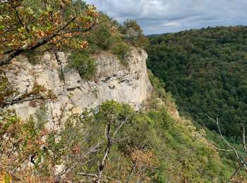 Trail Walking Arbois - Arbois - Les planches - Rocher du feu - Arbois  - Photo