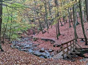 Excursión Bici de montaña Trooz - Balade vers le Ninglinspo - Photo