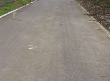 Trail Walking Faimes - les waleffes - Photo