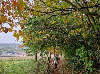 Tocht Stappen Kasteelbrakel - #241108 - Braine-le-Château, Moulin Banal, Derrière les Monts, Les Meurisses, GRP 127**** - Photo