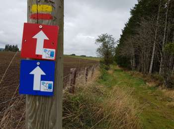 Tocht Stappen Lierneux - Lierneux - Photo