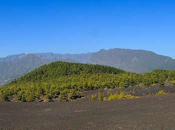 Tour Zu Fuß El Paso - SL LP 101 Tacande - Llanos del Jable - Photo