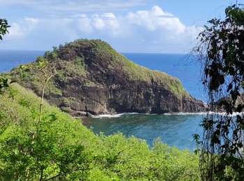 Trail Walking Sainte-Marie - Ste Marie vers Marigot - Photo