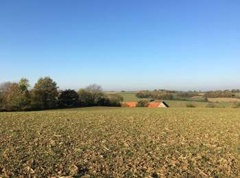 Tocht Stappen Geldenaken - 221114b - Jodoigne, Gobertange, St Remy-Geest, GRP127 (court) - Photo