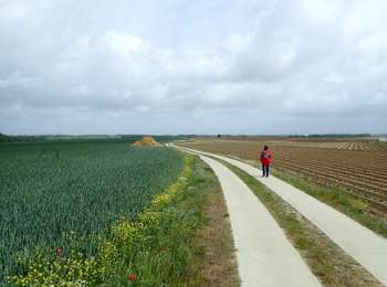 Tocht Te voet Genepiën - #200523 - Loncée, Vallée de la Haute Dyle et Houtain*** - Photo