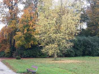 Tour Wandern La Hulpe - château de la  hulpe  - Photo