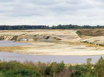 Percorso A piedi Maasmechelen - Mechelse Heide Blauwe ruit - Photo