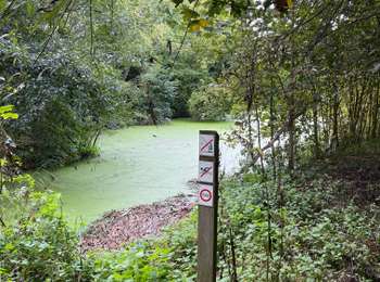 Tocht Stappen Tubeke - De Tubize à Braine le château et Leembeek - Photo