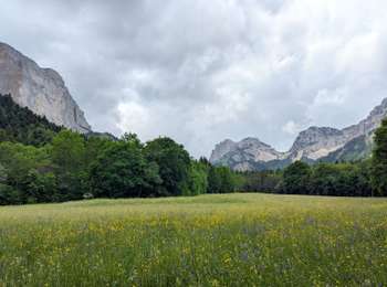 Trail Horseback riding Roissard - 2025-06-04 Rando CVA Maissenas vers Chichilianne - Photo