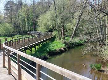 Tour Wandern Muzillac - PR_56_Muzillac_CA_03_Tour-Etang-Pen-Mur_Circuit1b_20250405 - Photo