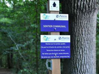 Randonnée Marche Yvoir - Promenade du chaînon manquant  - Photo