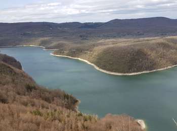 Trail Walking Moirans-en-Montagne - Moirans-belvedere Palards - Photo