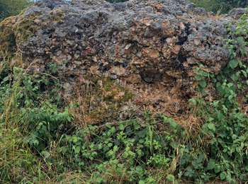 Trail Electric bike Dixmont - Randonnée Dixmont / Villeneuve sur Yonne & Curiosités - Photo