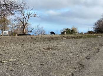 Trail Walking Loreto-di-Casinca - Corse - Photo