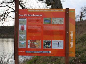 Tocht Te voet Steffeln - Georundweg Steffeln - Photo