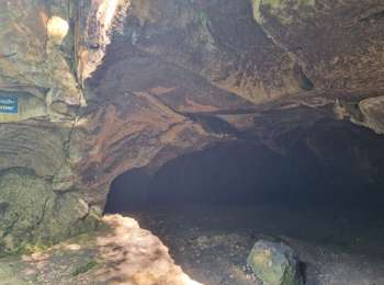 Tour Wandern Berdorf - Mullerthal Berdorf B5+B8 Raiberhiel-Teufelsinsel-Siewenschleff-Berdorfer Kasselt-Keltenkapp-Passage Mandrack-Geierslay-Perekop-Huel Lee (PVDB) - Photo