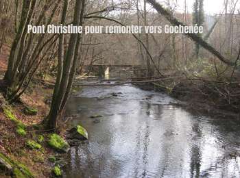 Trail Nordic walking Doische - vallée de l'Hermeton - Photo