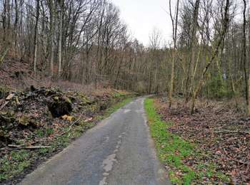 Percorso A piedi Niederanven - Fleche Bleu Sandweiler - Photo