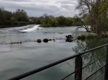 Trail Nordic walking Dampierre - chateauneuf - Photo