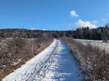 Trail Walking Hautecour - Belvédère des Pimpelards - Photo