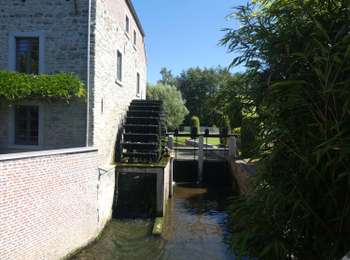 Tocht Stappen Ottignies-Louvain-la-Neuve - RL-GG-02 - Céroux-Mousty - Villers-la-Ville - 2025-02-08 - Photo