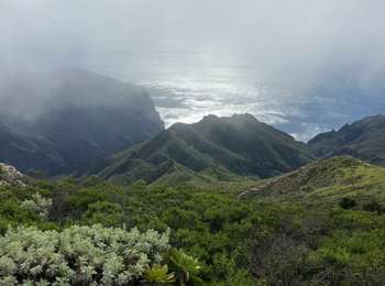 Tour Wandern Buenavista del Norte - Teno Alto  - Photo