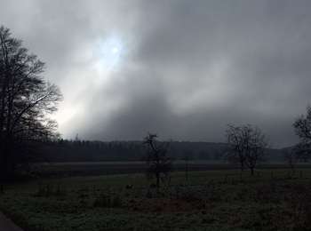 Trail Walking Fougerolles-Saint-Valbert - 30-11-24 : marche Téléthon Fougerolles - Photo