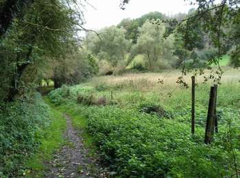Trail Walking Tinlot - Ramelot  - Photo