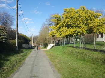 Excursión Pesca Tours - Tours Sorigny Nadège Paola Véronique Victor Jean François  - Photo
