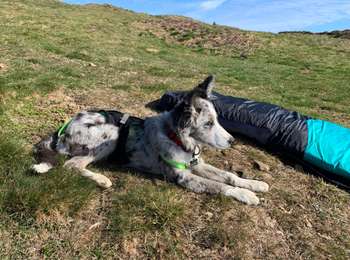 Tour Gleitschirmfliegen Aucun - COURADUQUE Bonnie - Photo