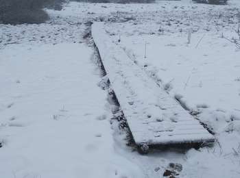 Trail Walking Büllingen - Weisser Stein - Photo