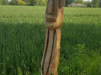 Tocht Stappen Ottignies-Louvain-la-Neuve - Sentier Sculpteur_0621 - Photo