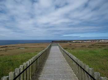 Tocht Te voet Vila do Porto - GR1SMA Grande Rota de Santa Maria - Photo