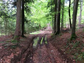Percorso A piedi Brezovica - Rakitna - Vrbica - Photo