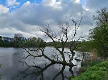Tour Wandern Kelmis - Le pays calaminaire - Photo