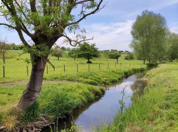 Percorso Marcia Blegny - La balade de Leval   - Photo