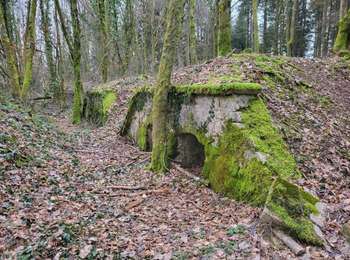 Trail Walking Châlonvillars - Châlonvillars - Fort du Salbert - Evette-Salbert - Photo