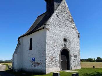 Tocht Stappen Court-Saint-Étienne - RL-GG-22 - La Roche - Blanmont - 2025-02-08 - Photo