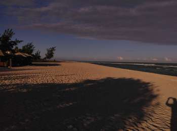 Excursión Bicicleta híbrida Saint-Denis - 2 ème galop st gilles  - Photo