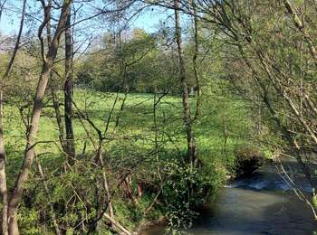 Trail Walking Erquelinnes - SOLRE SUR SAMBRE (Belgique) - Photo