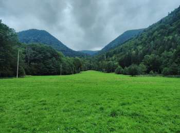 Excursión Senderismo Wildenstein - TREK ALSACIEN (boucle de Wildenstein) - Photo